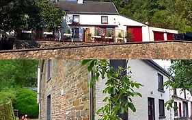 B&B De Notelaar